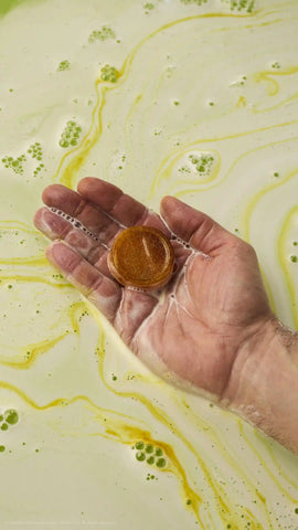 Yoshi Egg