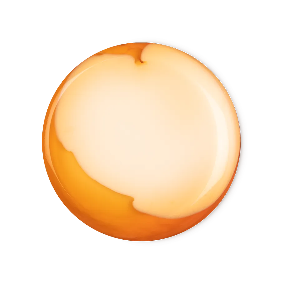 Bongo