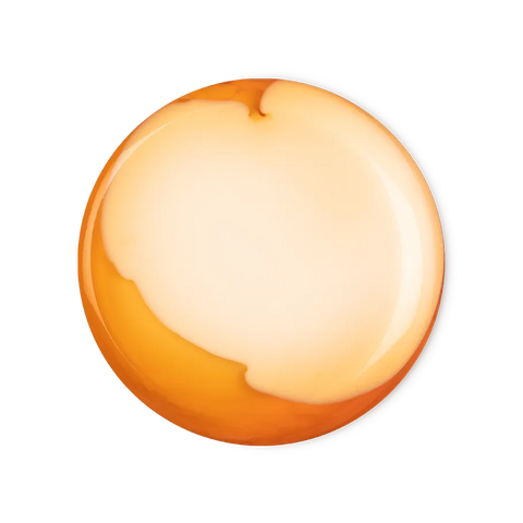 Bongo