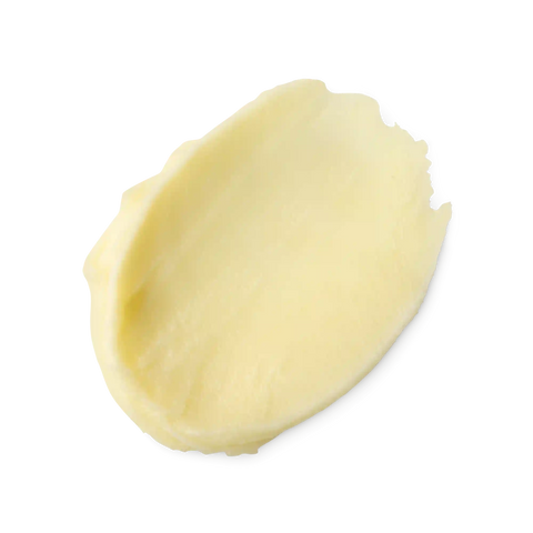 Magical Moringa