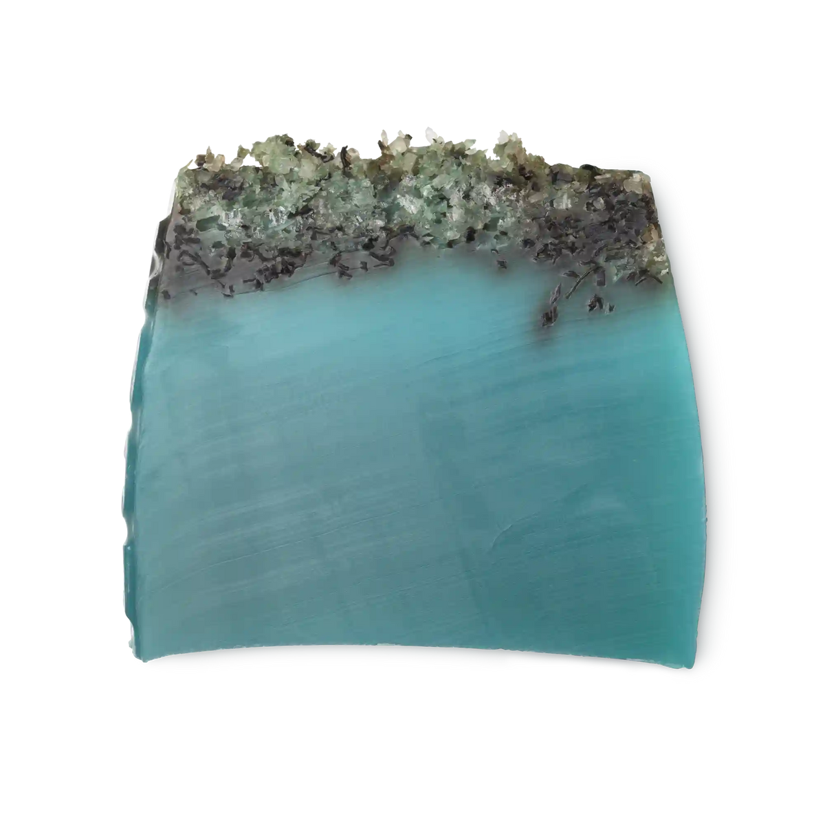 Sea Vegetable