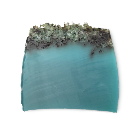 Sea Vegetable