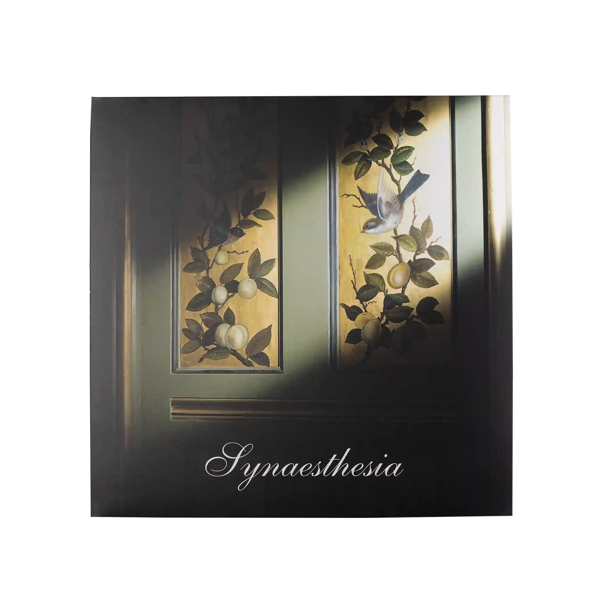 Synaesthesia