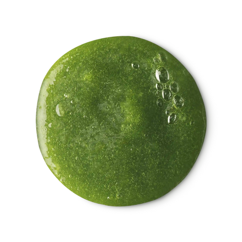 Wasabi Shan Kui